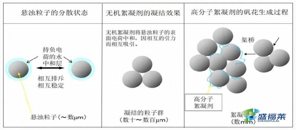 聚丙烯酰胺非離子和陰離子有區(qū)別嗎