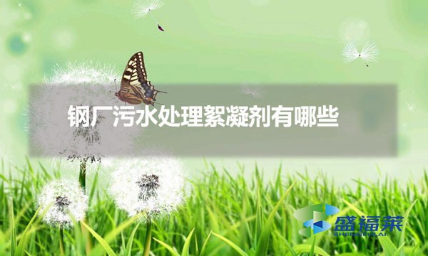 鋼廠污水處理絮凝劑有哪些(鋼廠污水用什么絮凝劑)