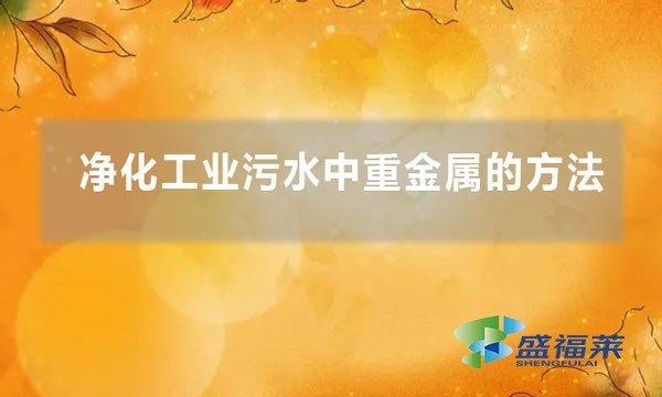 凈化工業(yè)污水中重金屬的方法(如何剝離污水中的重金屬)