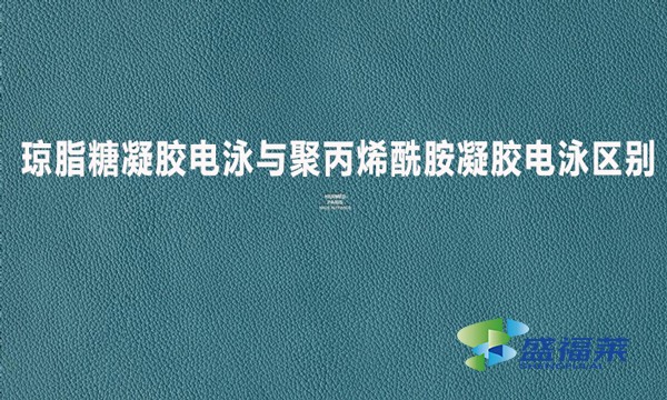 瓊脂糖凝膠電泳與聚丙烯酰胺凝膠電泳區(qū)別?